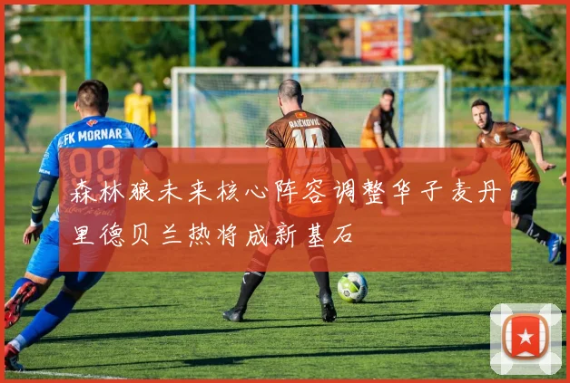 森林狼未来核心阵容调整华子麦丹里德贝兰热将成新基石