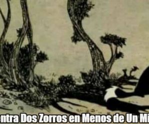 Encuentra Dos Zorros en Menos de Un Minuto
