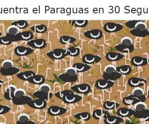 Encuentra el Paraguas en 30 Segundos