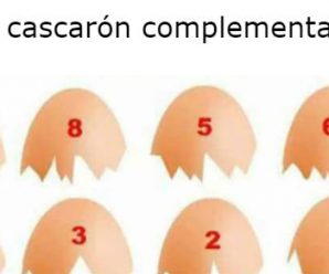 ¿Cuál Cascarón Complementa al #1?