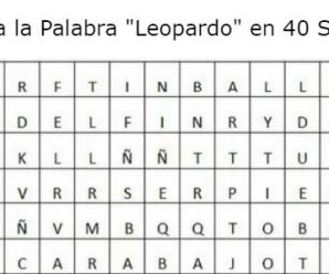 Encuentra la Palabra «Leopardo» en 40 Segundos