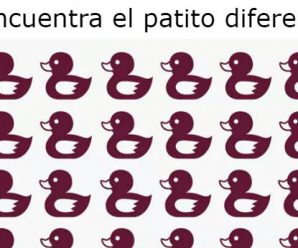 Encuentra el Patito Diferente