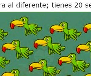 Encuentra el Diferente; Tienes 20 Segundos