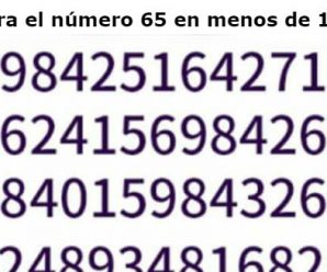 Encuentra el Número 65 en Menos de 1 Minuto