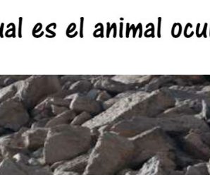 Encuentra al animal que se esconde entre las rocas