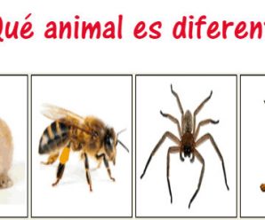 Determina el Animal que No se Relaciona con los Otros