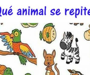 Reto dificil: ¿Qué animal se repite en la imagen?