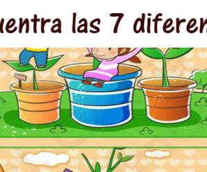 Reto interesante: Encontrar las 7 diferencias.