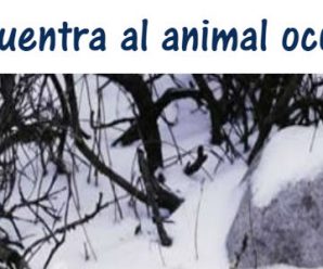 Observa bien y Encuentra al animal oculto