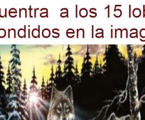 Encuentra a los 15 lobos escondidos