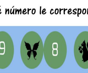 ¿Qué número le corresponde?