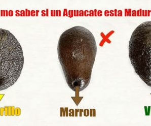 Trucos para Saber si un Aguacate está bueno sin Necesidad de Abrirlo