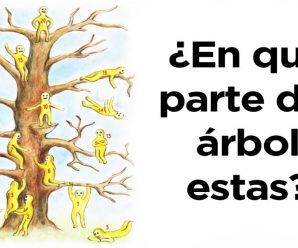 Elige una Posición en el árbol y sabrás como están tus Emociones