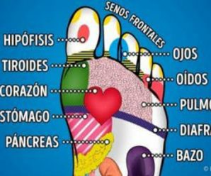 Conoce los Puntos de tus Pies para Mejorar tu Salud