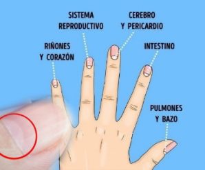 Significado de la Media Luna en las Uñas